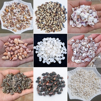 Mini sticlă-drift cu cochilie de melc marin - Material natural, decor micro peisaj, stil mediteranean (Material: Cochilie, Melc de mare; Stil: Mediteranean; Confecție: Natural; Cod produs: Mini Small Sea Snail)