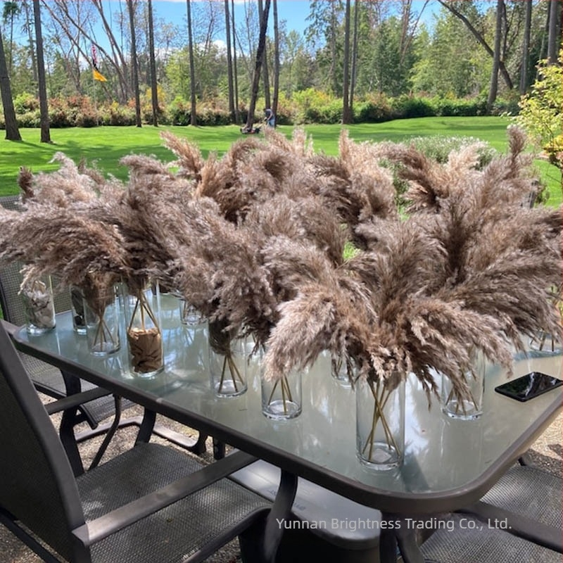 Prop fotografic cu flori uscate în stil INS, brand Brightness, varietate 3332590, material: flori uscate, proces: Alt, utilizare: nuntă/exterior/props fotografie