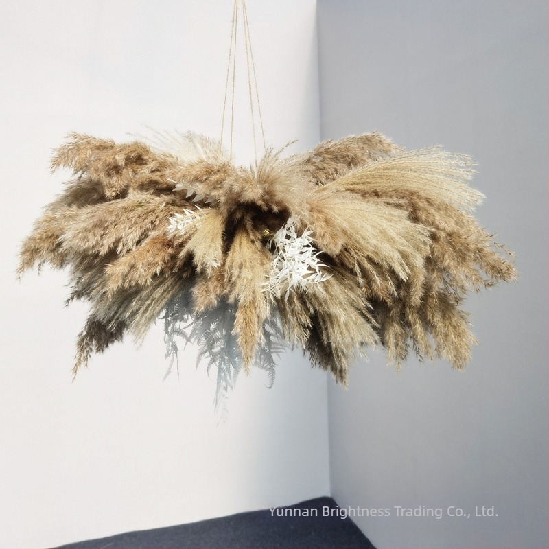 Prop fotografic cu flori uscate în stil INS, brand Brightness, varietate 3332590, material: flori uscate, proces: Alt, utilizare: nuntă/exterior/props fotografie