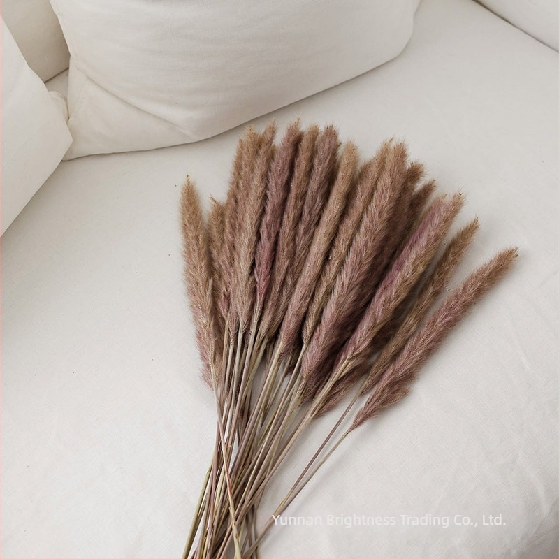 Prop fotografic cu flori uscate în stil INS, brand Brightness, varietate 3332590, material: flori uscate, proces: Alt, utilizare: nuntă/exterior/props fotografie