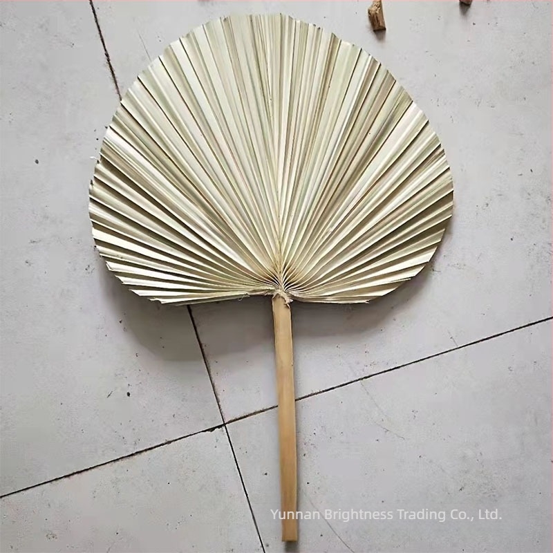 Prop fotografic cu flori uscate în stil INS, brand Brightness, varietate 3332590, material: flori uscate, proces: Alt, utilizare: nuntă/exterior/props fotografie