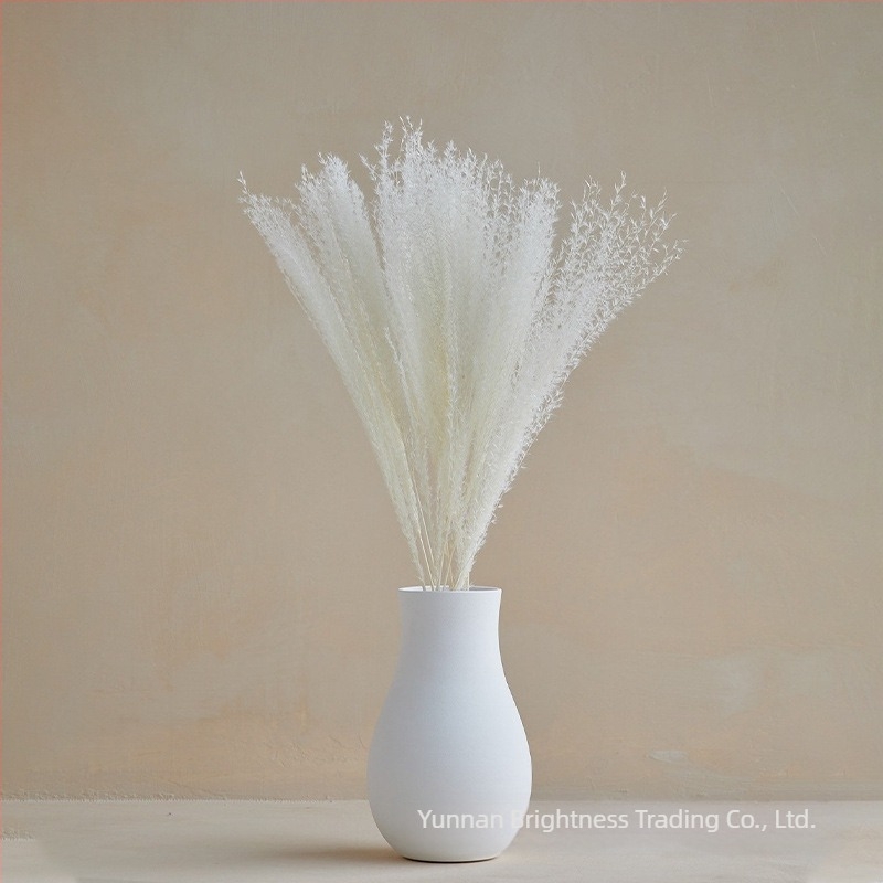 Prop fotografic cu flori uscate în stil INS, brand Brightness, varietate 3332590, material: flori uscate, proces: Alt, utilizare: nuntă/exterior/props fotografie