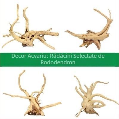 Set de decor pentru acvariu cu rădăcină de azalee, lemn scufundat, mușchi și plante acvatice
