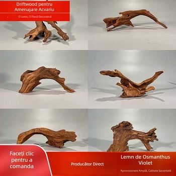 Decor pentru acvariu: rădăcină sculptată din tec mov, lemn de tec, ciot decorativ