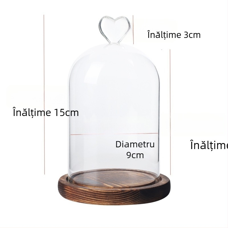 Cupolă de sticlă cu bază din lemn masiv, iluminată, pentru flori uscate