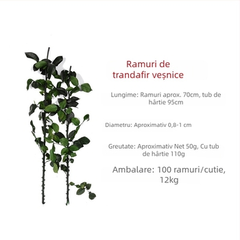 Ramuri de trandafiri eterni, 60–70 cm, capac de sticlă Micul Prinț, material DIY pentru aranjamente florale
