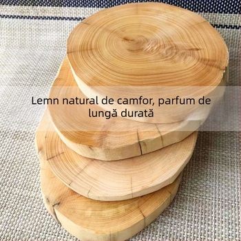 Bază din lemn de camfor cu ornament din rădăcină de copac și suport pentru ceai