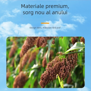 Mătură din mătase aurie, lucrată manual, pentru curățenie în interior, stil tradițional