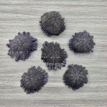 Arici de mare în formă de coif și scoică conică naturală, dimensiune aproximativă 6-9 cm, specimen pentru colecție, decor mov