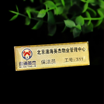 Insignă metalică personalizată cu imprimare color și cupolă epoxidică, clemă de prindere – ID angajat / emblemă școlară, imprimare DIY