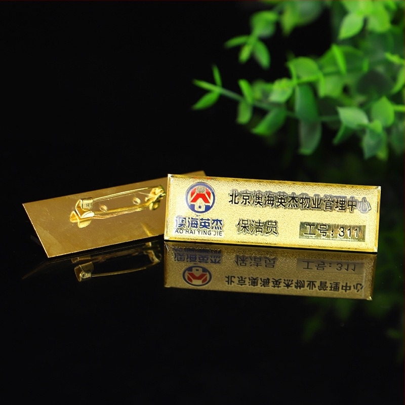 Insignă metalică personalizată cu imprimare color și cupolă epoxidică, clemă de prindere – ID angajat / emblemă școlară, imprimare DIY