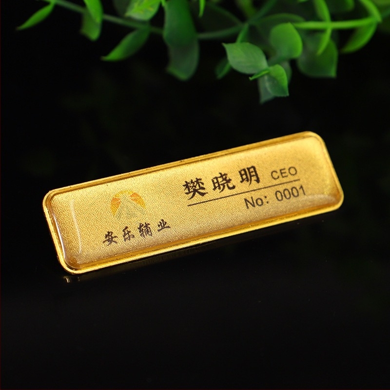 Insignă metalică personalizată cu imprimare color și cupolă epoxidică, clemă de prindere – ID angajat / emblemă școlară, imprimare DIY