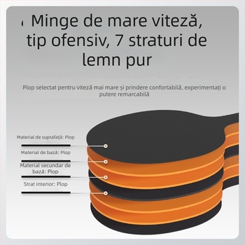 Set Boli T09 de tenis de masă: Două rachete, trei mingi și cadru cu plasă; rachete din lemn masiv cu șapte straturi, carcasă rigidă, acoperire textilă