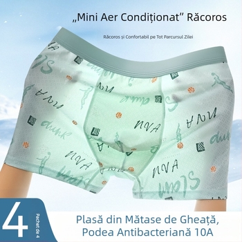 Boxeri pentru adolescenți bărbați, modal Ice-Silk – răcoroși