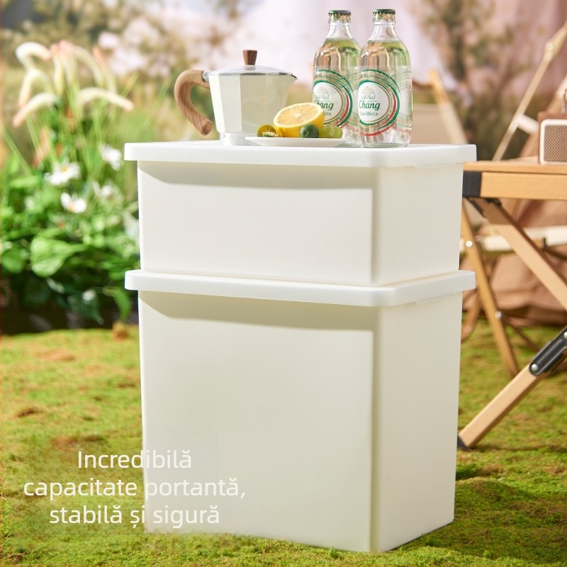 Cutie de depozitare pentru camping în aer liber, capacitate mare, cutie portabilă din PP pentru uz casnic și în mașină, 20-30 L, design în stil japonez.