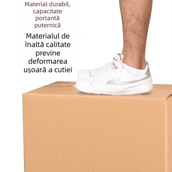 Cutie din carton ondulat, 65 cm lungime, cinci straturi, extra rigidă, pentru ambalare și mutare