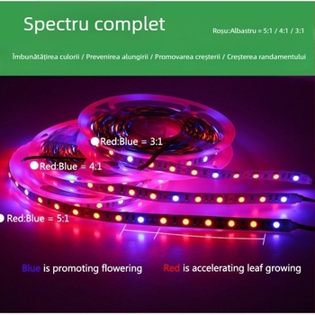 Bandă LED 12V 5050 pentru creșterea plantelor, neimpermeabilă, reglaj prin telecomandă, fascicul 120°, CRI 70, pentru flori și legume