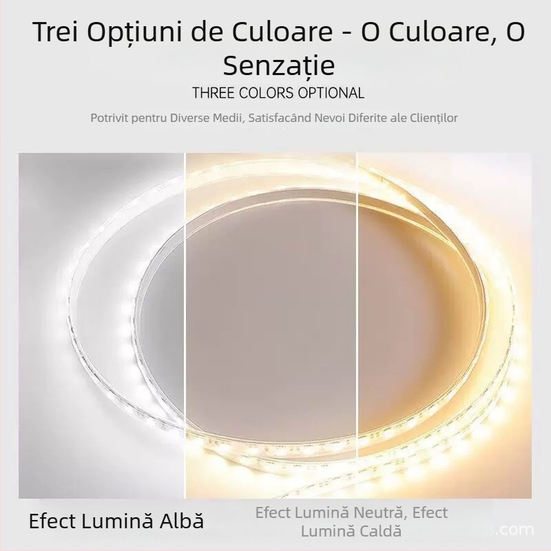 Bandă LED de 24V cu 240 de diode, temperatură de culoare duală și iluminare tri-color, compatibilă cu un sistem inteligent pentru reglarea luminozității și a culorii