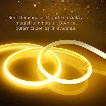Bandă LED neon flexibilă, rotundă, 360°, exterior, impermeabilă pentru reclamă la vitrină.
