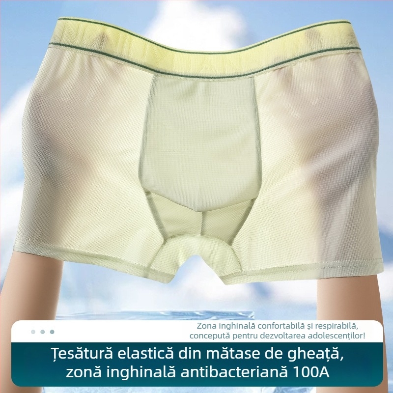 Boxeri pentru bărbați din Ice Silk, antibacterieni, respirabili, uscare rapidă