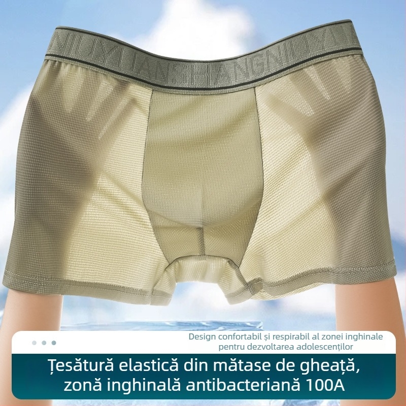Boxeri pentru bărbați din Ice Silk, antibacterieni, respirabili, uscare rapidă