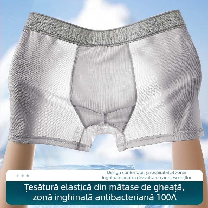 Boxeri pentru bărbați din Ice Silk, antibacterieni, respirabili, uscare rapidă