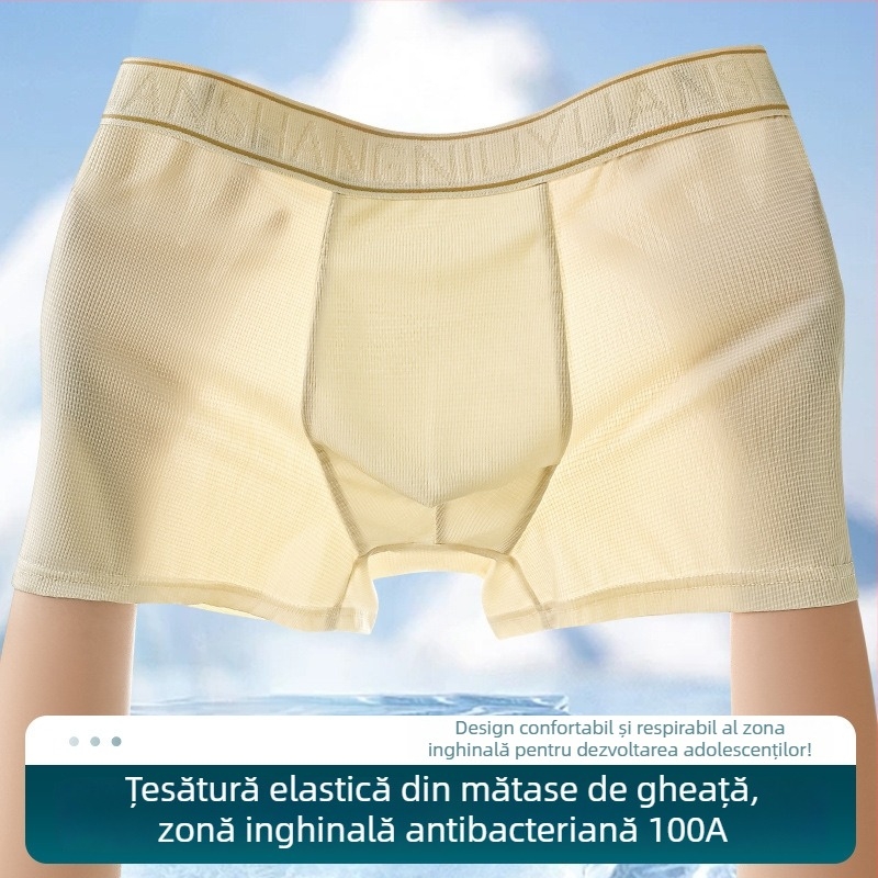 Boxeri pentru bărbați din Ice Silk, antibacterieni, respirabili, uscare rapidă