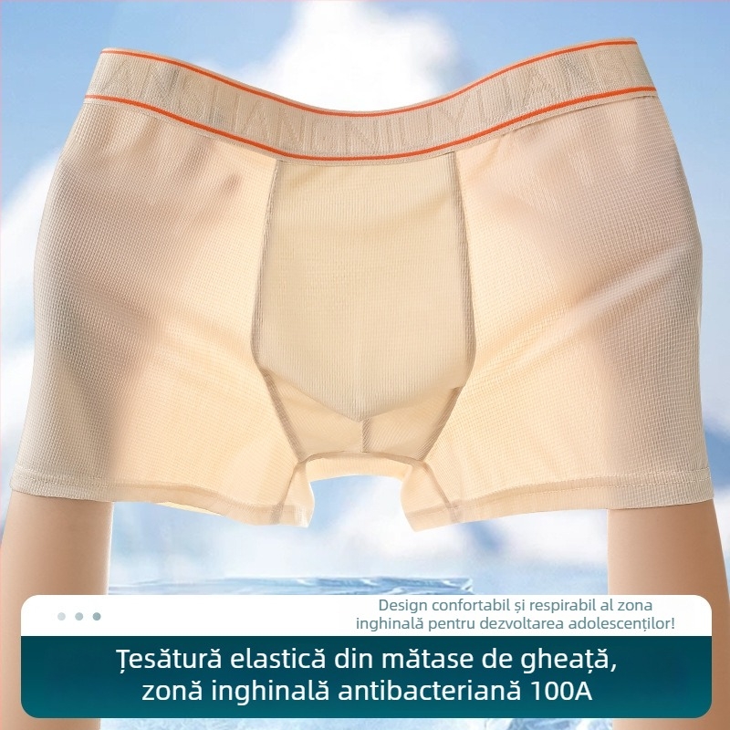 Boxeri pentru bărbați din Ice Silk, antibacterieni, respirabili, uscare rapidă
