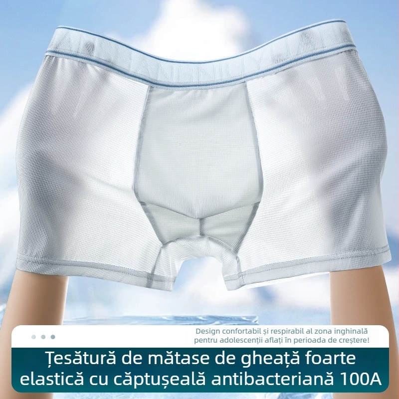 Boxeri pentru bărbați din Ice Silk, antibacterieni, respirabili, uscare rapidă