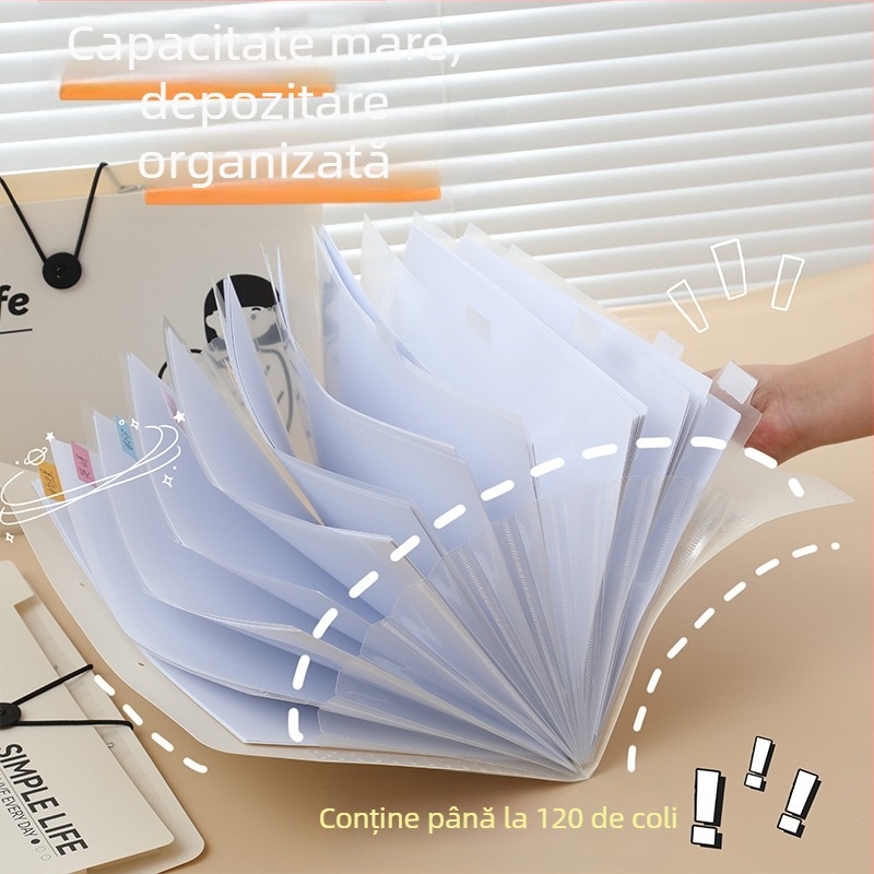 Dosar creativ cu personaje de desene animate, organizator acordeon cu 5-8 compartimente, pentru elevi, cu pagini inserabile