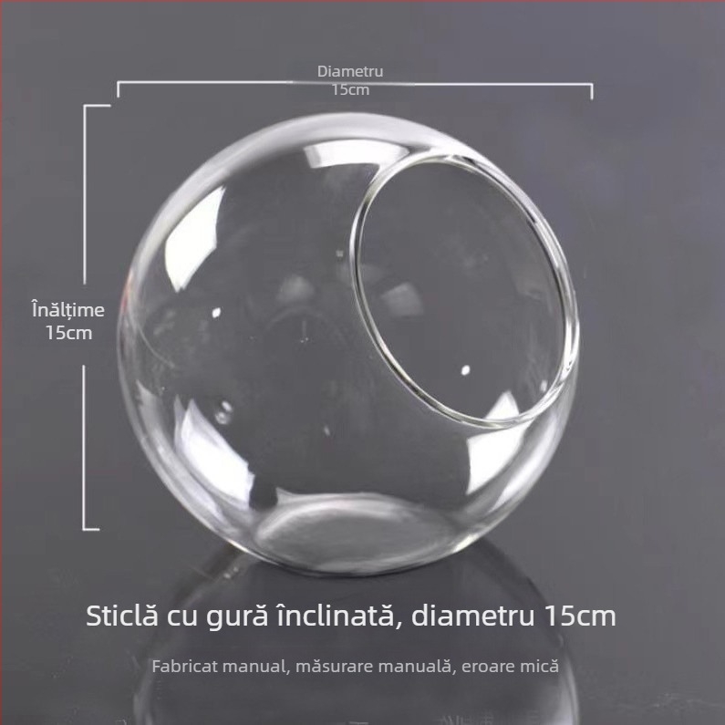 Vază rotundă din sticlă transparentă, cu gură înclinată, pentru micro-peisaj și cultivare hidroponică a suculenților — decor de interior.