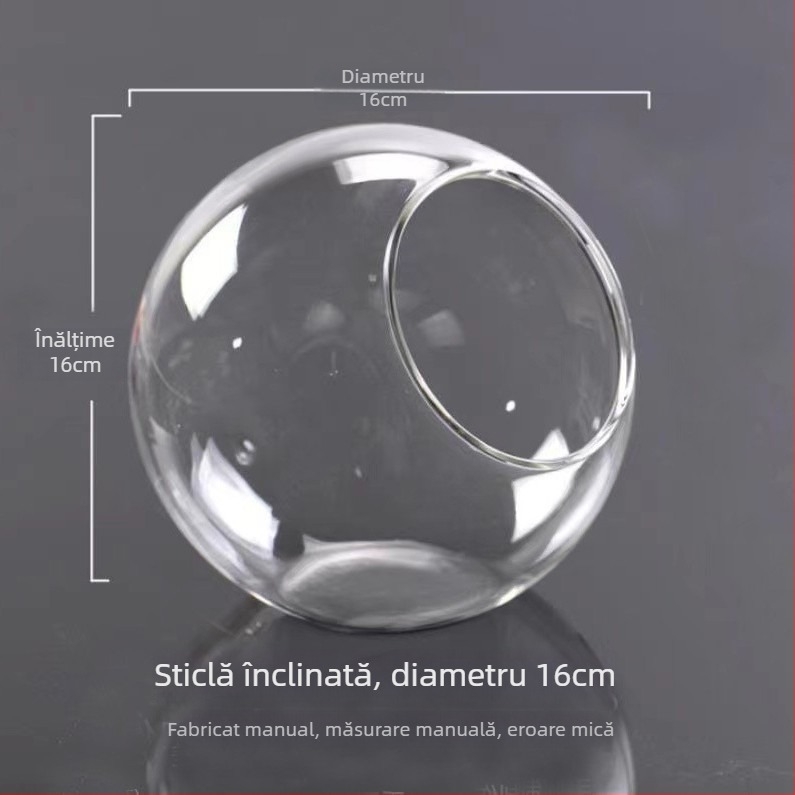 Vază rotundă din sticlă transparentă, cu gură înclinată, pentru micro-peisaj și cultivare hidroponică a suculenților — decor de interior.