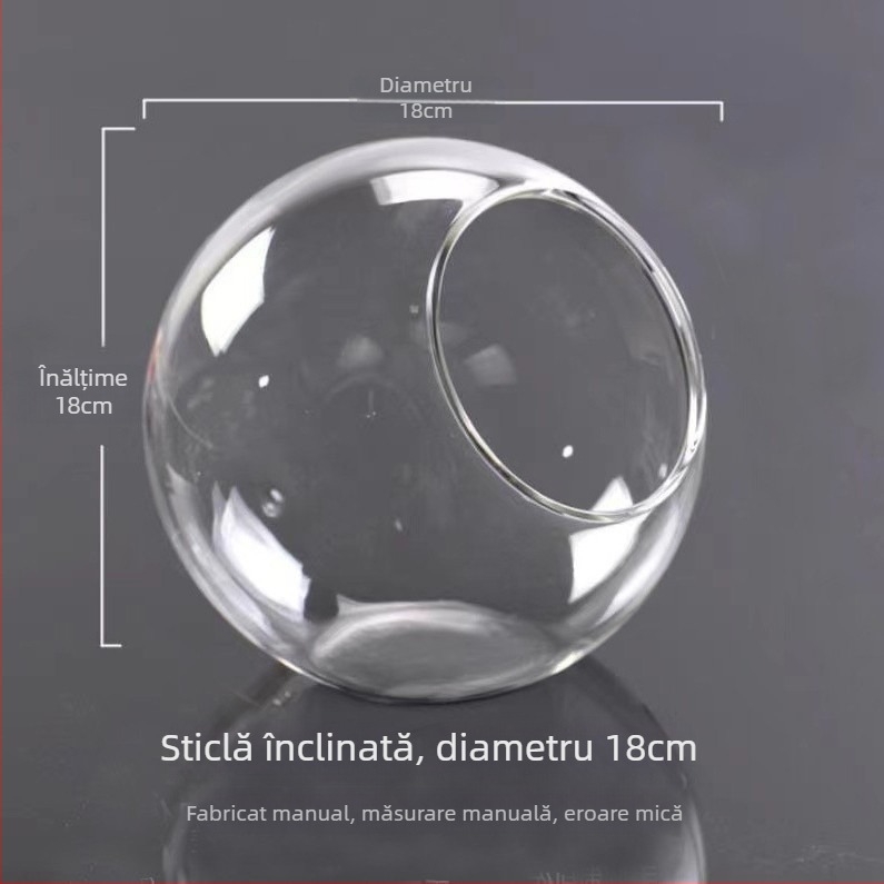 Vază rotundă din sticlă transparentă, cu gură înclinată, pentru micro-peisaj și cultivare hidroponică a suculenților — decor de interior.