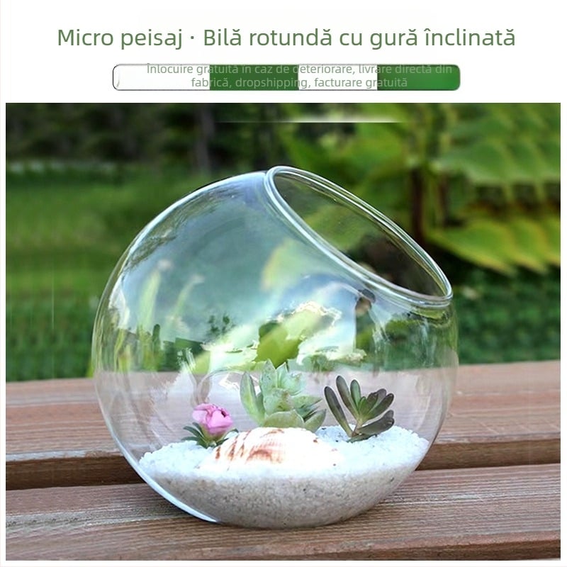 Vază rotundă din sticlă transparentă, cu gură înclinată, pentru micro-peisaj și cultivare hidroponică a suculenților — decor de interior.