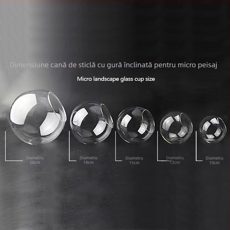 Vază rotundă din sticlă transparentă, cu gură înclinată, pentru micro-peisaj și cultivare hidroponică a suculenților — decor de interior.