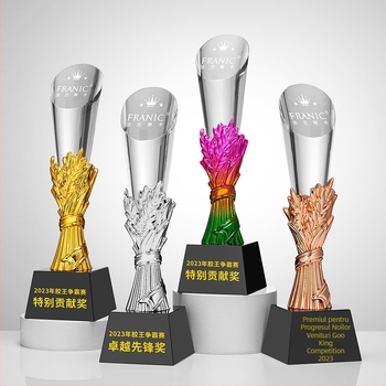 Trofeu din cristal, plachetă personalizată de premiu pentru întâlnirea anuală, temă baschet și fotbal