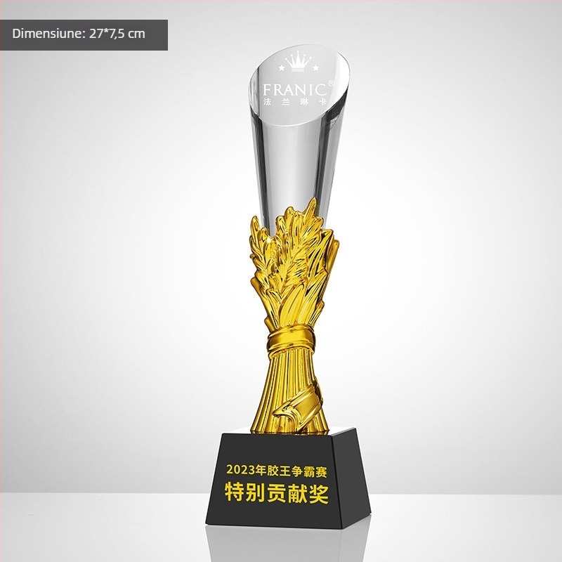 Trofeu din cristal, plachetă personalizată de premiu pentru întâlnirea anuală, temă baschet și fotbal