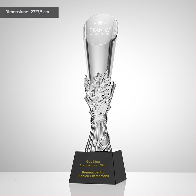 Trofeu din cristal, plachetă personalizată de premiu pentru întâlnirea anuală, temă baschet și fotbal