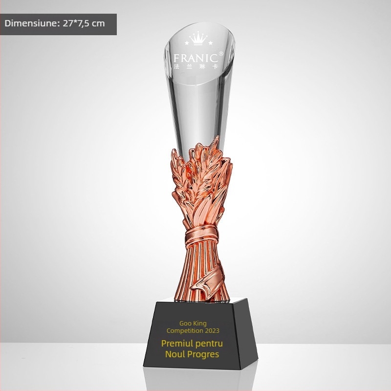 Trofeu din cristal, plachetă personalizată de premiu pentru întâlnirea anuală, temă baschet și fotbal