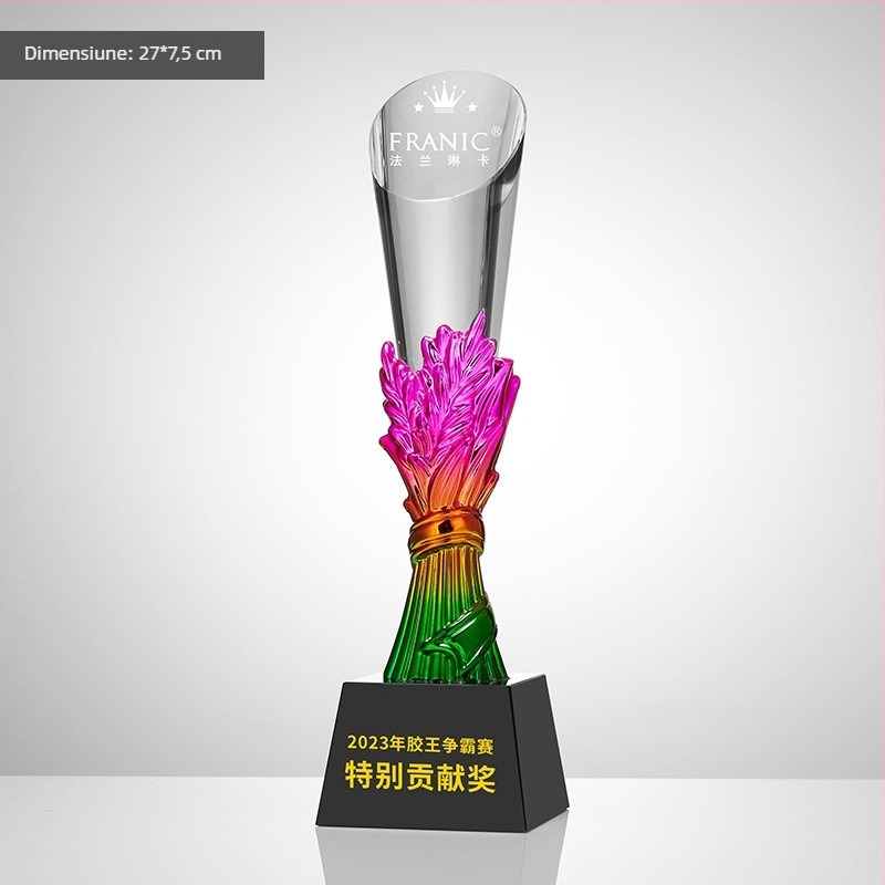 Trofeu din cristal, plachetă personalizată de premiu pentru întâlnirea anuală, temă baschet și fotbal