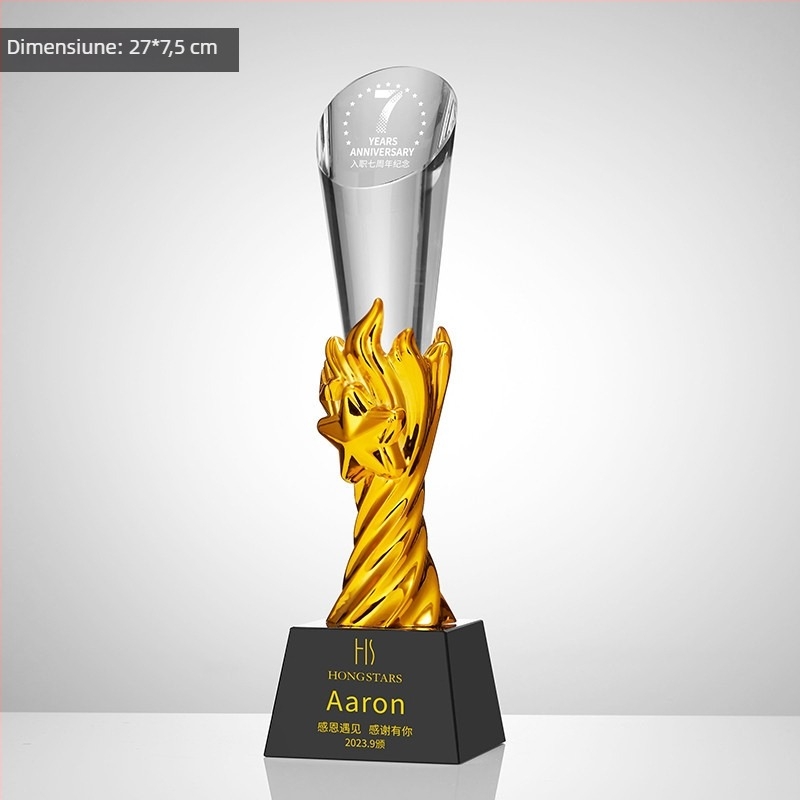 Trofeu din cristal, plachetă personalizată de premiu pentru întâlnirea anuală, temă baschet și fotbal