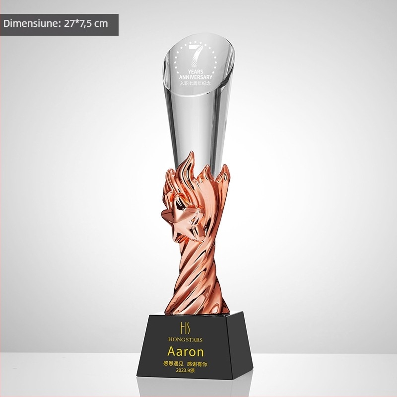 Trofeu din cristal, plachetă personalizată de premiu pentru întâlnirea anuală, temă baschet și fotbal