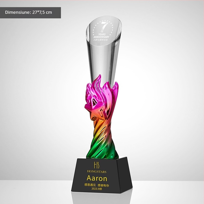 Trofeu din cristal, plachetă personalizată de premiu pentru întâlnirea anuală, temă baschet și fotbal