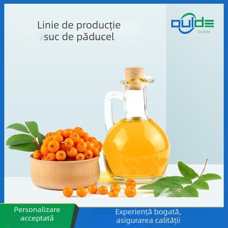 Around the Sea Sticlă transparentă cu mâner gravat, pentru ulei, vin de gătit și sos de soia