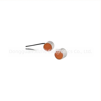 LIDIT LDT-456 Transductor ultrasonic pentru contor de gaz – măsurare flux și distanță