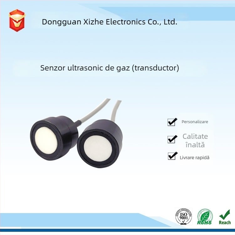 LIDIT LDT-456 Transductor ultrasonic pentru contor de gaz – măsurare flux și distanță