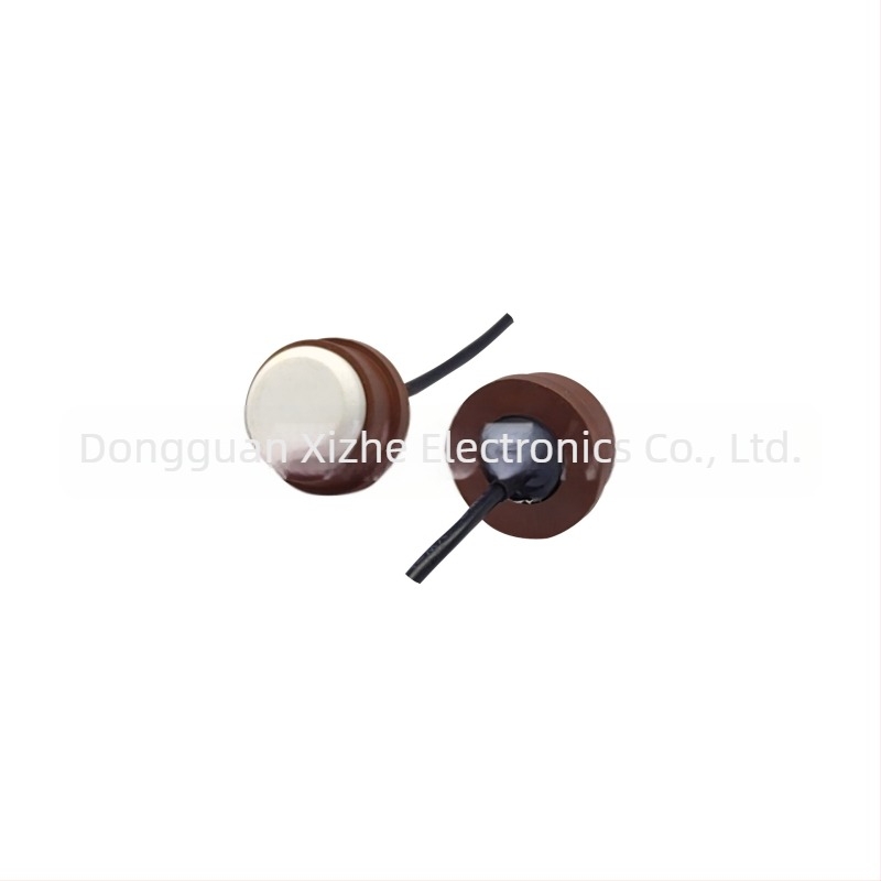 LIDIT LDT-456 Transductor ultrasonic pentru contor de gaz – măsurare flux și distanță