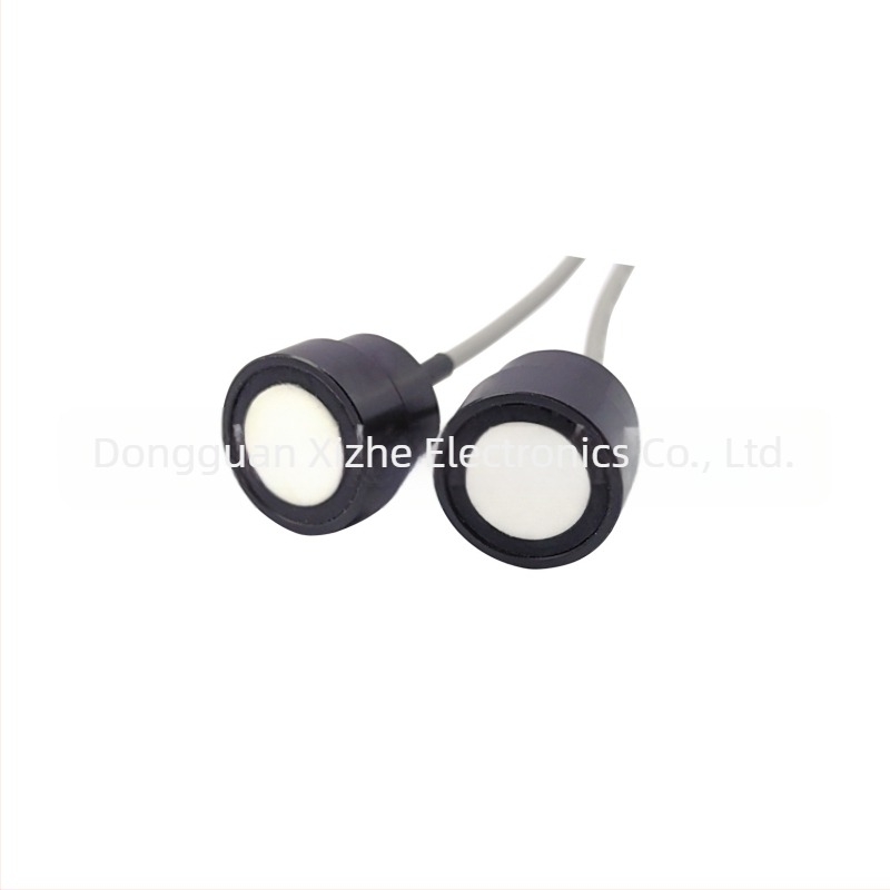 LIDIT LDT-456 Transductor ultrasonic pentru contor de gaz – măsurare flux și distanță