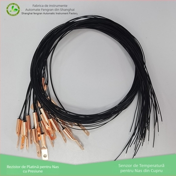Senzor de temperatură PT100 cu rezistență din platină – sondă nazală de tip presiune, O‑ring, design cu ureche de cupru, model T07P2BMT2A4L800-D6