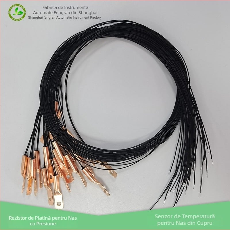Senzor de temperatură PT100 cu rezistență din platină – sondă nazală de tip presiune, O‑ring, design cu ureche de cupru, model T07P2BMT2A4L800-D6